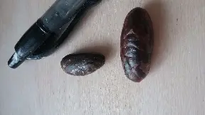 small and large cocoa beans 